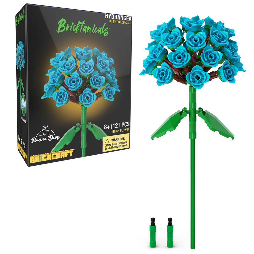 Hydrangea