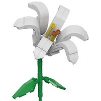 Lily