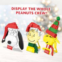 Peanuts Decorations