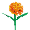 Marigold