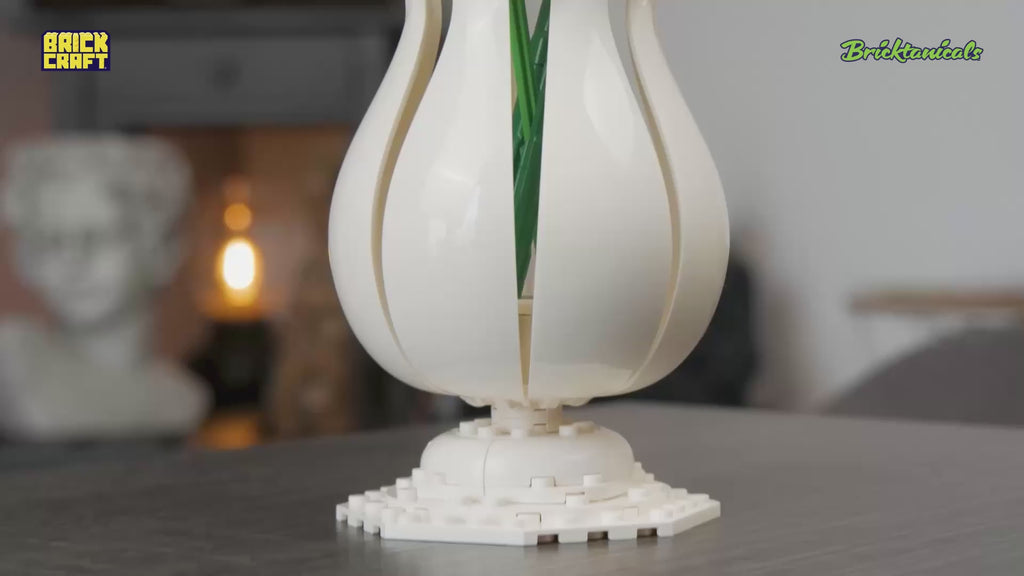 Amaryllis