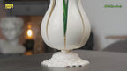 Amaryllis