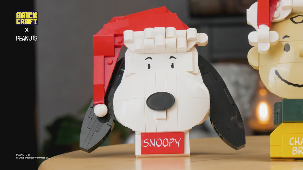 Charlie Brown Decoration